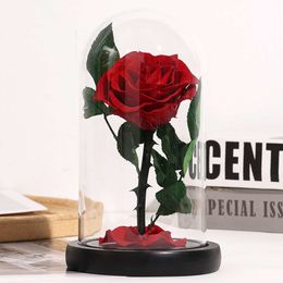Boîte à fleurs avec couvercle en verre pour petite amie, décoration créative pour cadeau de saint-valentin, Rose éternelle, 12cm x 20cm
