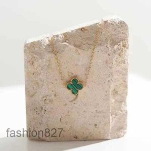 Van Clover ketting Designer Four Leaf Chain Lucky Four Leaf Grass Titanium Staal Miniatuurontwerp Kleurloos Hoge schoonheid Kraagketting Mini vrouwelijk 43RS2