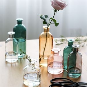 Vaas woonkamer gedroogde bloemen Noordse ins -stijl glas transparante dille huisdecoratie accessoires bloemenvazen ​​voor huizen 210409