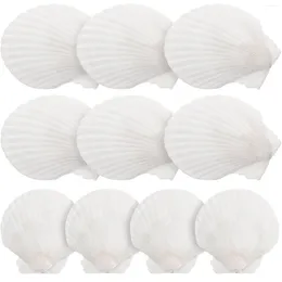 Vases 10 pcs Décoration de coquille naturelle Aquarium Conch Ornement Charme Plack Sequage de mer Ocean ororne Crafts