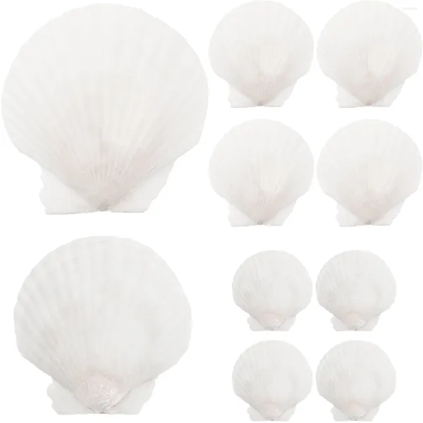 Jarrones 10 PCS Decoraciones del océano Conchas naturales Artesanías Haciendo Árbol de Navidad Concha Adorno Blanco DIY Seaside