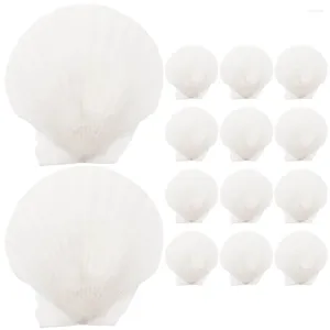 Vases 16pcs Naturel Grand Secronge-marin Sequare Aquarium Décoration DIY Shell Embellissement Craft Matière