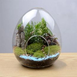 Vases 1pc Creative Egg en verre bouteilles en verre succulent Vase Hydroponic micro paysage terrarium moss décoration de maison