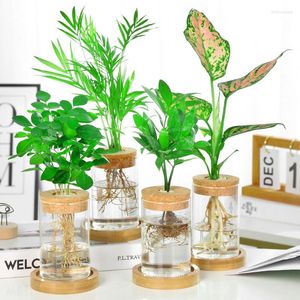 Vazen 1 stks terrarium hydrocultuur planten bloem stijlvolle glazen fles houten kurk tabletop kantoor huis bonsai woonkamer decoratie