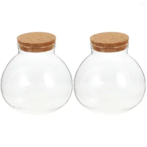 Vazen 2 telling container mini sappige planten glas glazen aandenken bloemenpot landschap fles