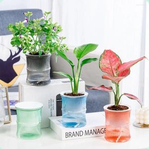 Vases 2 couches colorées transparentes en plastique automatique absorbant l'eau planteur paresseux pot de fleur hydroponique plante pépinière Pod