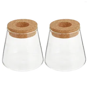 Vases 2 pcs Eco bouteille pot d'orchidée Terrarium pour plantes hydroponiques conteneur avec couverture décoration de jardin vase de bureau en verre