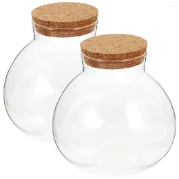 Vases 2 PCS micro paysage décor de bouteille écologique terrarium Verre Fleur Plant Cork Moss Microlandschaft Mini Mini