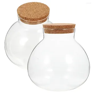 Vazen 2 PCS MICRO LANDSCHAP ECOLOGISCHE FLES Plant Bloemen Vaas Mos Crafts Wall Diy Glass Container