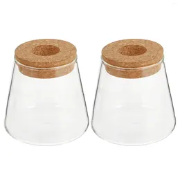 Vases 2 PCS Mini Pots Eco Bottle Hydroponics Vase Vase Planter Container Decoration For Home Terrarium Plants Office