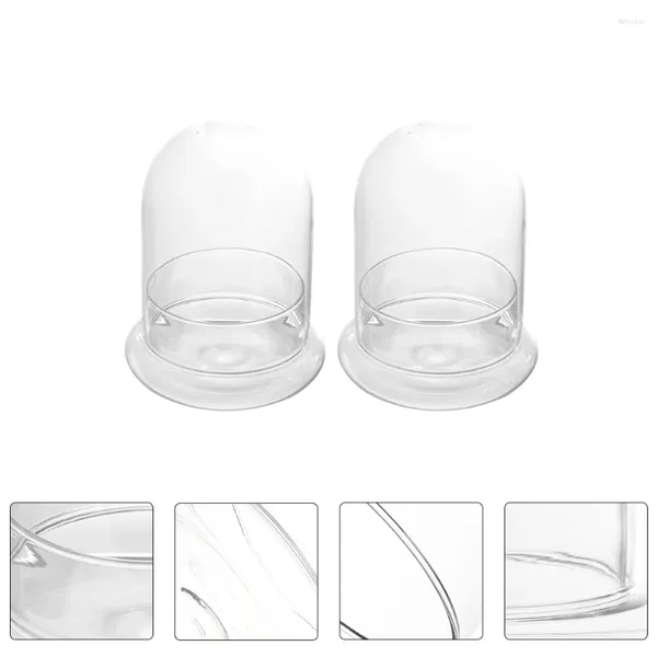 Jarrones 2 PCS Moss DIY Glass Bottle Terrario Terrario Tarrapsos