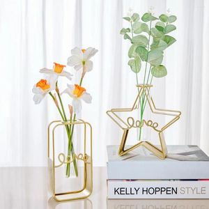 Vazen 2 stks/set chique bloemencontainer compact planten vaas gouden kleur geschenk modern metalen beugel ornament