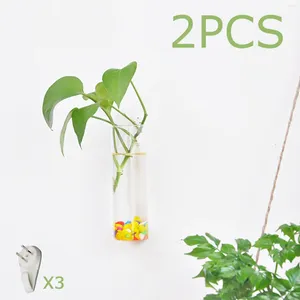 Vases 2x Verbe de tube en verre Conteurs de support de plante Mur hydroponique