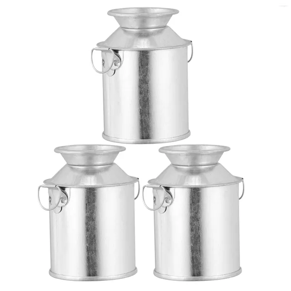 Jarrones 3 PCS Contenedor Florero de hojalata Jarra de agua Planta doméstica Pot Hojalata Hierro Flor Cubo