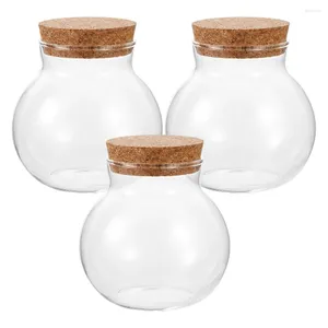 Vases 3 PCS VERRE MICRO-PANDAGE DU LANDGETOP BOUTEILLE SUCCUPATION CORC CORK DÉCORATIVE PANGAGING CONTAGE