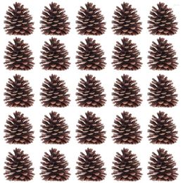 Vases 50pcs Christmas Natural Pine Cons de Thanksgiving Ornements Vase remplissements pour bricolage Crafts Home Fall et