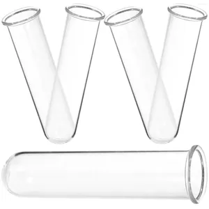 Vases 5pcs en verre de propagation de tube de tube de tube