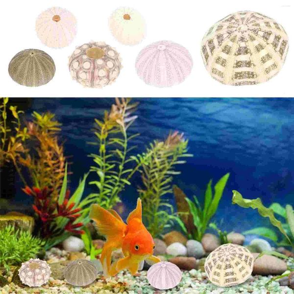 Vases 6 PCS Shell conch Home Sea Orchin Decors