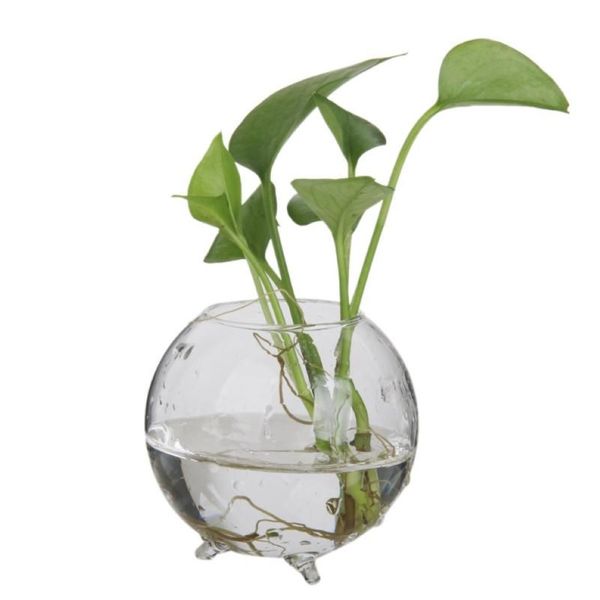 Vases 6pcs boule claire verre vase de fleur pot mini paysage terrarium bouteille petit chandelier mignon 8cm261t