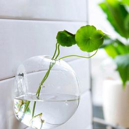 Jarrones 8x Cristal transparente Forma de bola Florero Decoración de jardín Botella para colgar en la pared