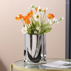 Vases Advanced Sense Lumière Luxury Plemaged Vase Vase Creative Decoration Living Room TV Cabinet Porche Table Ins Style ou