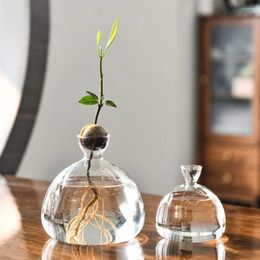 Vases Avocado Seed Starter Vase Vase Transparent Plant pour la culture du jardinage de bouteille en verre cadeau