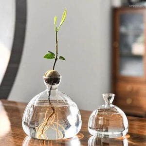 Vases Verre avocado graines vase Verbe à chaleur claire Verre planter arbre de culture de plante Cadeau pour les amateurs de jardinage