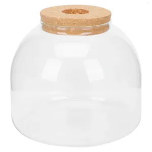 Vases Bell Jar Case Stand Micro Landscape Ecological Bott