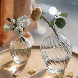Vases Grand ventre rayé verre vase décoration maison ornement transparent arrangement de fleurs dans le salon et la table à manger petit