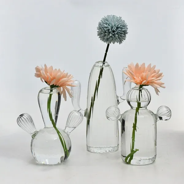 Jarrones Cactus Glass Vaseh Hidroponic