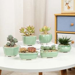 Jarrones China yixing macetas plantas suculentas micro paisaje ge horno celadon decoración del hogar jarrón de escritorio planta verde