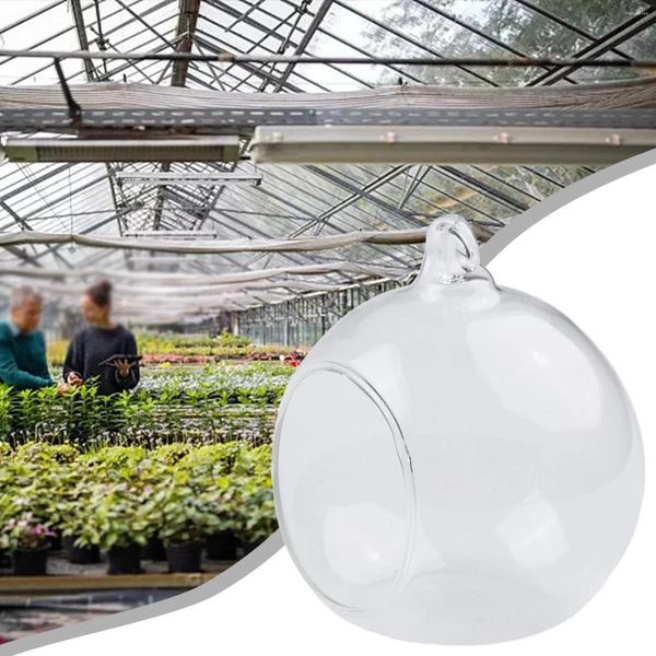 Jarrones Clear Borosilicate Glass Bauble Balls 8/12 cm Vase suculenta Vegetación Terrario Container Pads para jardín doméstico