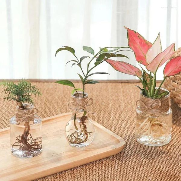 Vases Vase en verre transparent Jacinthe Vase Transparent Fleur Plante Bouteille Pot DIY Ornements Maison Salon Jardin Décoration Bureau Décors