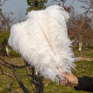 Vases Plumes d'autruche clonées 15 18 décoration pour artisanat fête de mariage maison carnaval artisanat Plumes accessoires 10 pièces en gros 231030