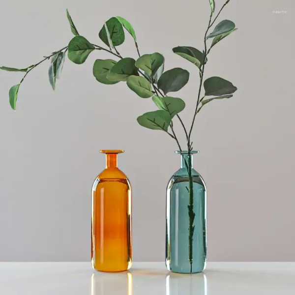Jarrones de vidrio colorido para botella de planta, florero transparente, terrario hidropónico creativo, contenedor, maceta, decoración del hogar