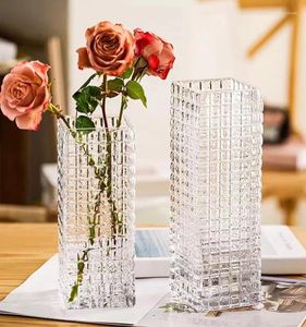Vazen kleurrijk transparant glas vaas vierkante mondontwerp thuis en woonkamer met verse decoratie