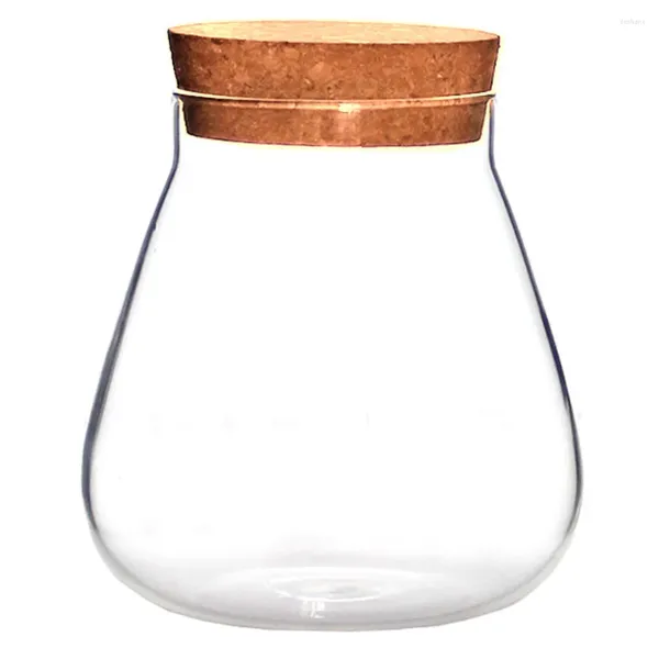 Vases bouteille en verre de liège bricolage Crafts mini plantes artificielles bol à bulles de rangement de bol à haut borosilicate contenants en gros