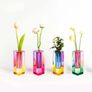 Vases Vase de couleur acrylique nordique créatif et simple pour insérer des fleurs séchées et des fleurs à bulles de verre à colonne carrée hydroponique