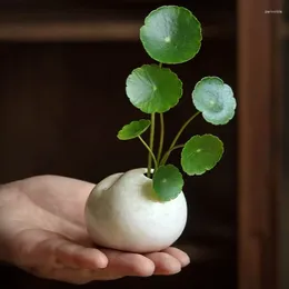 Vases Creative Cerramic Flower Ustensiles Mini les inserts peuvent être des décorations zen à petit vase à vase hydroponique