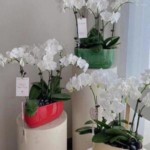 Vases Creative Bureau Phalaenopsis Pot de fleurs en céramique Argent Année Vase décoratif Orchidée Pot spécial