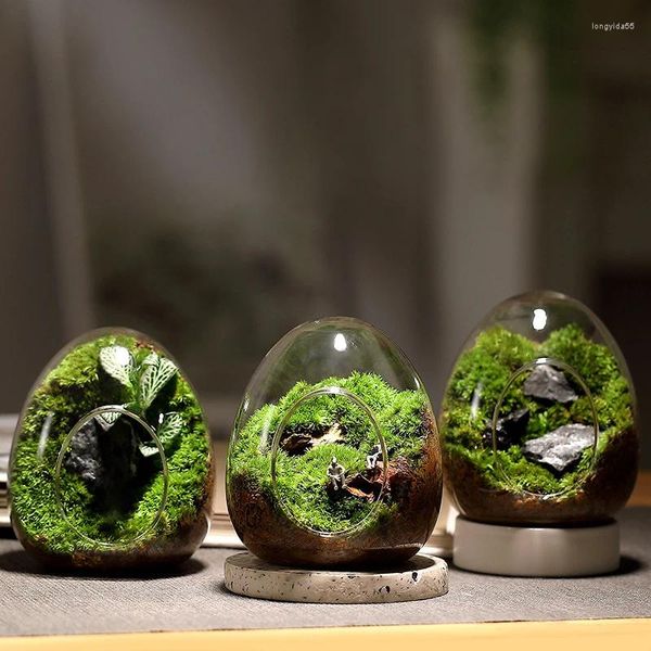 Vases Creative Egg en verre bouteille en verre hydroponique Bonsai Bonsaï DIY Succulent Vase Plant Microlandscape Terrarium Moss Home Decoration