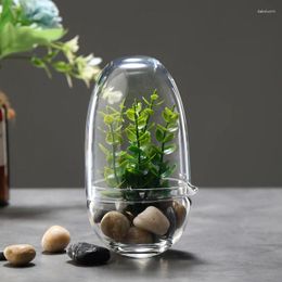 Jarrones Botellas de vidrio creativas en forma de huevo Verde Suculento Moss Botella Vase Bonsai Bonsai Home Desktop Decoración