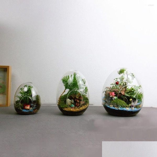 Vases Bouteilles en verre créatives en forme d'œuf Succent Vase hydroponique charnu Micro paysage Terrarium mousse décoration de la maison livraison directe G Otknd