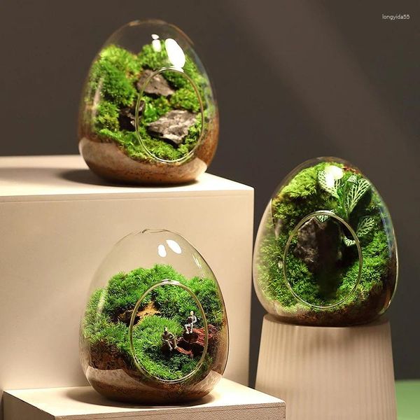 Vases Creative Egg en verre bouteilles en verre succulent Vase Vase Hydroponic Micro paysage Terrarium Moss Bandles Décoration