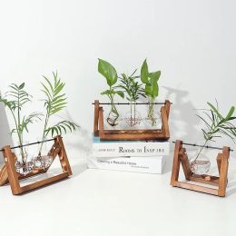 Vases Vase en verre créatif pour plantes hydroponiques dans un cadre en bois pour terrarium végétal et bonsaï, décoration d'intérieur transparente