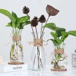 Vases Creative Nordic Glass Transparent Water Hydroponics Flower Corde Dry Vase DIY Fake Butet Home Table Decor