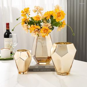 Vases Creative Nordic Living Room TV Cabinet Decorations Luxury Luxury Luxury European Gold Vase Vase Soft Decoration