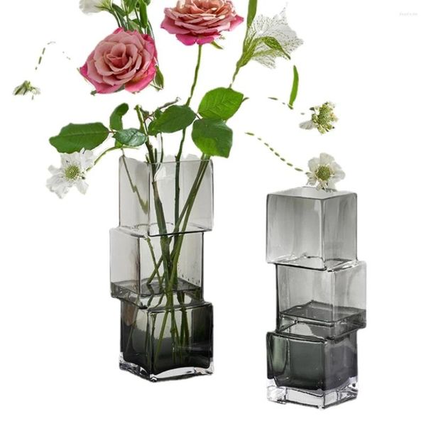 Vases Créatif forme étrange vase en verre carré transparent fleurs aquatiques rose arrangement de fleurs séchées décoration salon salle à manger
