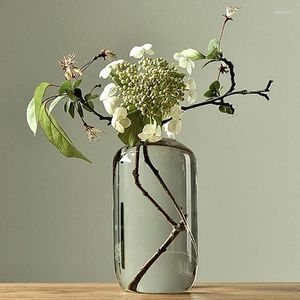 Vases créatifs vase en verre transparent japonais maison arrangement de fleurs art décoration de comptoir