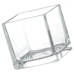 Vases Cube Vase en verre clair conteneur de fleurs bureau hydroponique moderne (10x10cm)